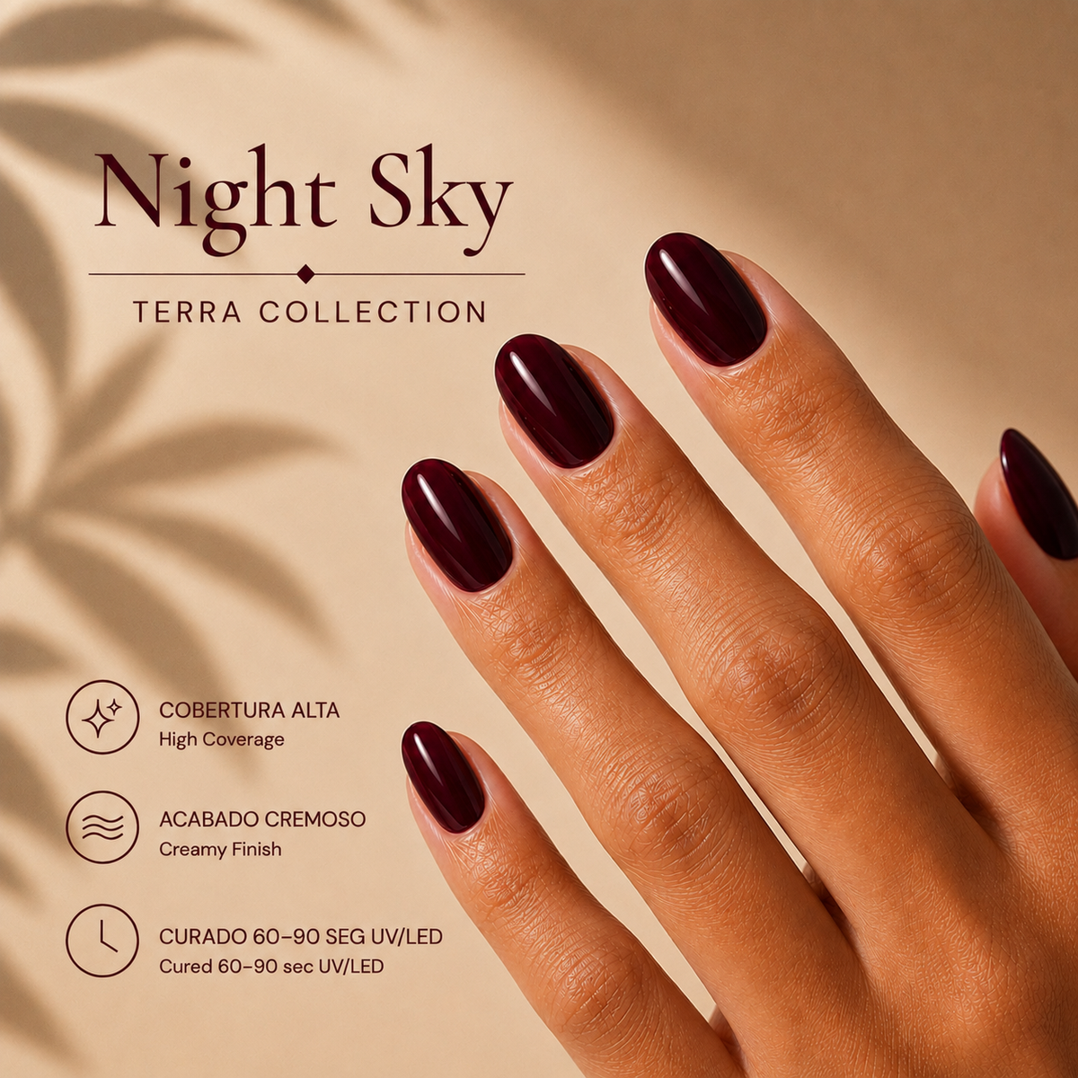 Night Sky